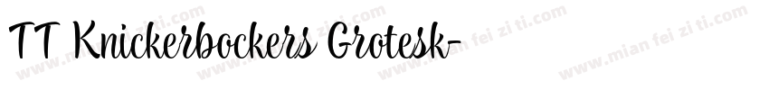 TT Knickerbockers Grotesk字体转换
